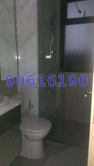 Waterscape at Cavenagh (D9), Apartment #64977502